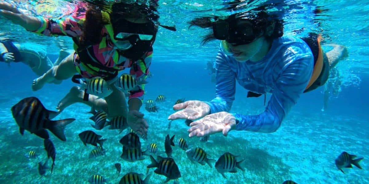 Cozumel Reefs and El Cielito Boat Tour
