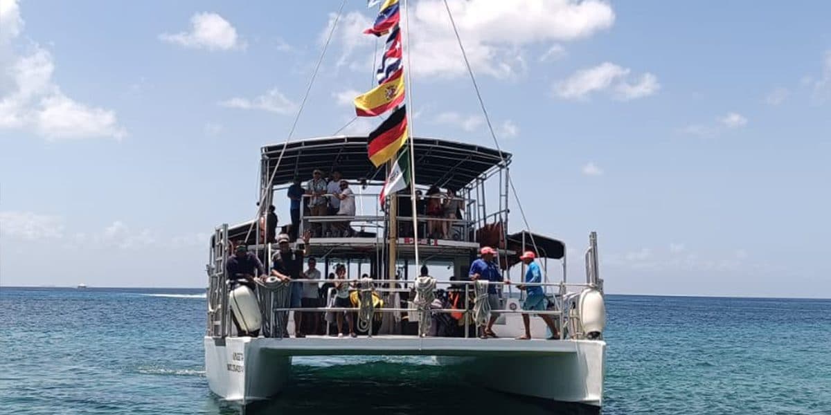 Catamaran Party Snorkeling Tour